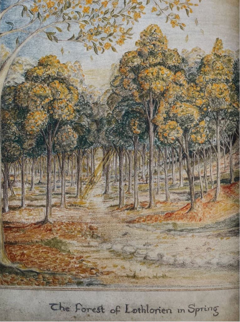 The Forest of Lothlorien in Spring — illustration by J.R.R. Tolkien